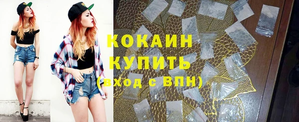 гидра Михайловск