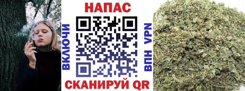 Купить закладки  Алупка  Бошки марихуана индика 